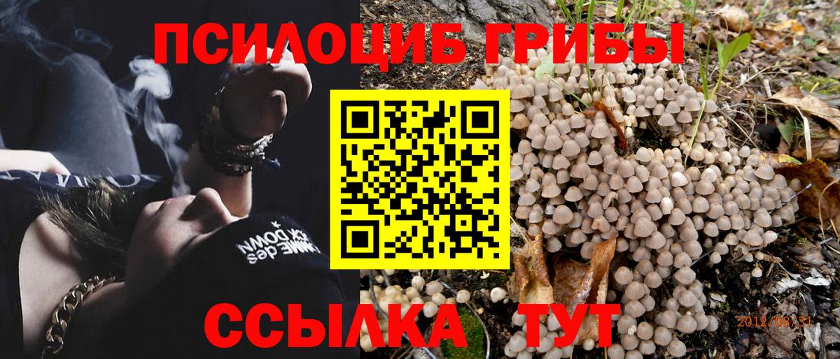 Псилоцибиновые грибы прущие грибы Димитровград