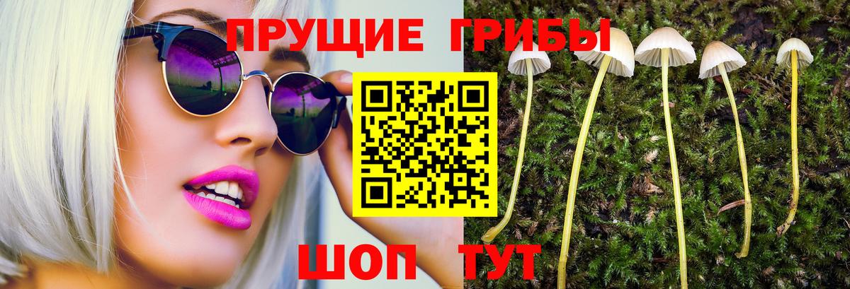 наркотики  Вход с VPN  Димитровград  Галлюциногенные грибы мицелий 